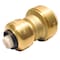Apollo 1/2 in. IPS x 1/2 in. CTS Brass Push-to-Connect Conversion Coupling FSBIPSC12 - alternate 3